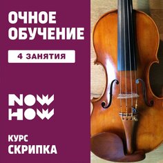 Скрипка. 4 индивидуальных занятия. Unknown