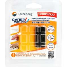 Неодимовый магнит-прямоугольник Forceberg