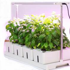 Интеллектуальная комбинированная плантация Green Helper