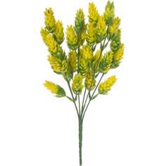 Хмель Вещицы