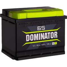 Аккумулятор Dominator