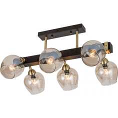 Поворотная люстра Citilux