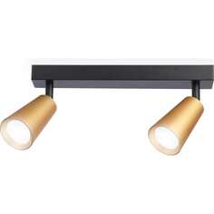 Спот Ambrella Light