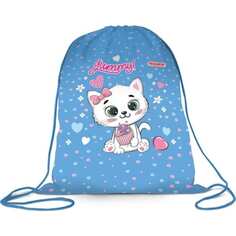 Мешок для обуви Пифагор