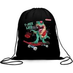 Мешок для обуви Пифагор