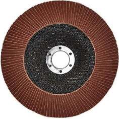 Лепестковый торцевой круг S.E.B. SEB