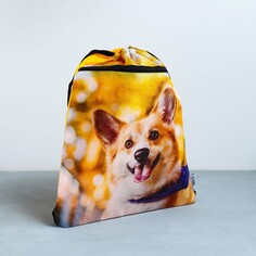 Сумка для обуви Art Fox Study