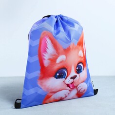 Сумка для обуви Art Fox Study