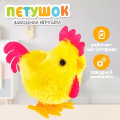 Игрушка заводная NO Brand