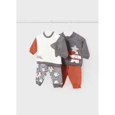 Комплекты детской одежды Mayoral Newborn Комплект для мальчика (свитшот 2 шт., штаны 2 шт.) 2690