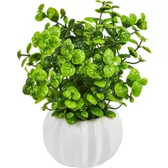 Искусственное растение Ракушка в белом горшке 9.5x20 см полиэстер цвет разноцветный Без бренда