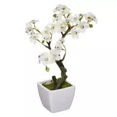 Декоративное растение Вишня 18x18x26 см Atmosphera