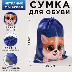 Сумка для обуви Art Fox Study