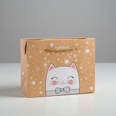 Пакет—коробка Дарите Счастье