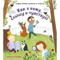 Кэти Дэйнс. Как я вижу, слышу и чувствую Робинс