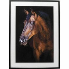 Картина в рамке Лошадь, 78 х 108 х 3 см Kare