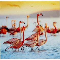 Картина Фламинго, 80 х 80 см Kare