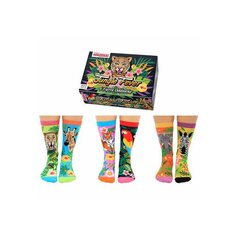 Носки Jungle Fever, 3 пары, размер 37-42 Sock Academy