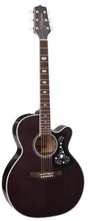 Электроакустические гитары Takamine