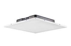 Динамики встраиваемые JBL LCT 81C/TM