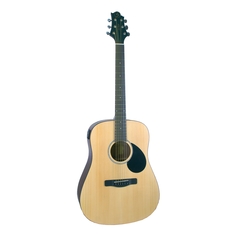 Акустические гитары Greg Bennett GD50T/OPN