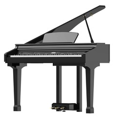 Цифровые пианино Ringway GDP1120 Black