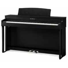 Цифровые пианино Kawai CN301B