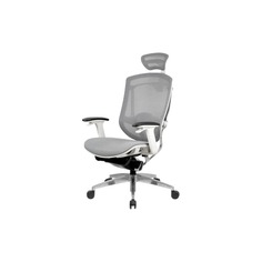 Компьютерное кресло GT Chair Marrit X (GTC-Marrit-X-GREY) серый