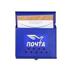 Ящик почтовый без замка (с петлей), горизонтальный NO Brand