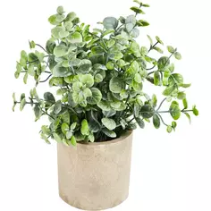 Искусственное растение Эвкалипт в горшке 8.5x22 см полиэстер цвет разноцветный Без бренда