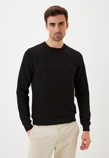 Свитшот Lacoste 
