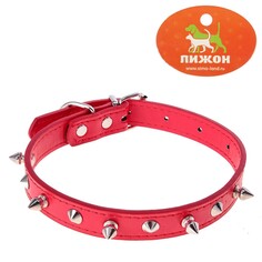 Ошейник Пижон