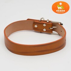 Ошейник с подкладом из прессованной кожи, 59 х 3 см, ош 41-51 см, коричневый Пижон