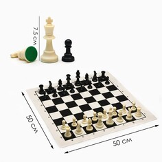Шахматы в пакете, фигуры (пешка h-4.5 см, ферзь h-7.5 см), поле 50 х 50 см NO Brand