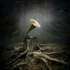 Музыкальный диск Аквариум - Тор