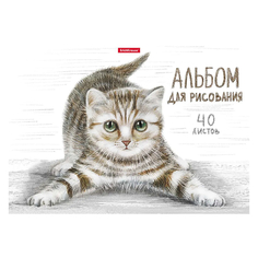 Альбом для рисования Erich Krause Tabby А4 40 л