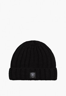 Шапка Blauer USA 