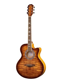 Акустические гитары Ramis RA-A01C Ramis