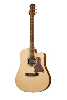 Акустические гитары Hora W11304ctw SM55