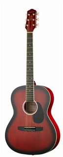 Акустические гитары Naranda CAG240RDS