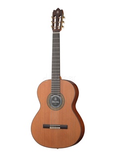 Классические гитары Alhambra 6.807 Classical Conservatory 4P E2