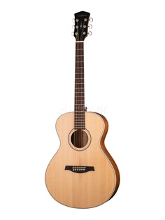 Акустические гитары Parkwood S23-GT