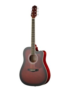 Акустические гитары Naranda DG120CWRS