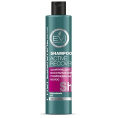 Шампунь для волос EVI PROFESSIONAL Шампунь "Активное восстановление" для поврежденных волос Professional Salon Hair Care Shampoo Acive Recovery
