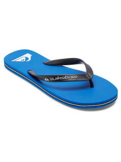 Мужские сланцы Molokai Quiksilver