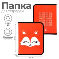 Папка для тетрадей а5 на молнии вокруг пластик пм-а5-04 дев Art Fox Study