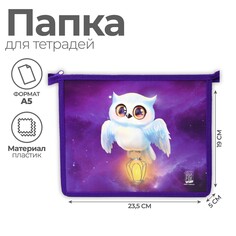 Папка для тетрадей а5 на молнии сверху пластик пм-а5-29 дев Art Fox Study