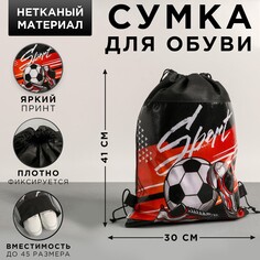 Сумка для обуви sport, 41х30х0,5 см Art Fox Study