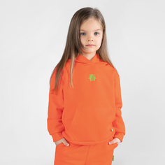 Комплекты детской одежды Bossa Nova Костюм худи и брюки для девочки 088МП-461