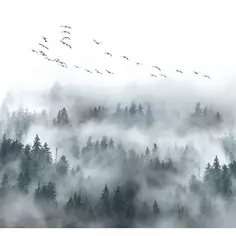 Фотообои «‎В густом тумане»‎ 3D флизелиновые 300х270 см L13-125 Fbrush